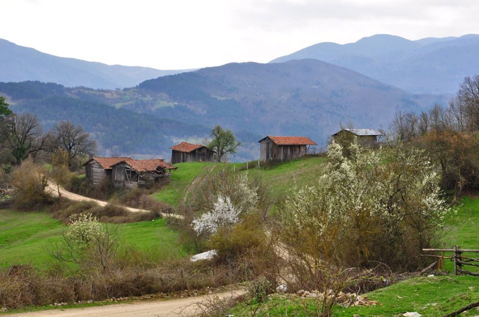 Safranbolu Cücahlı Köyü Resimleri 1