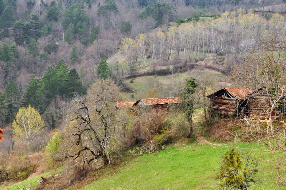 Safranbolu Cücahlı Köyü Resimleri 2