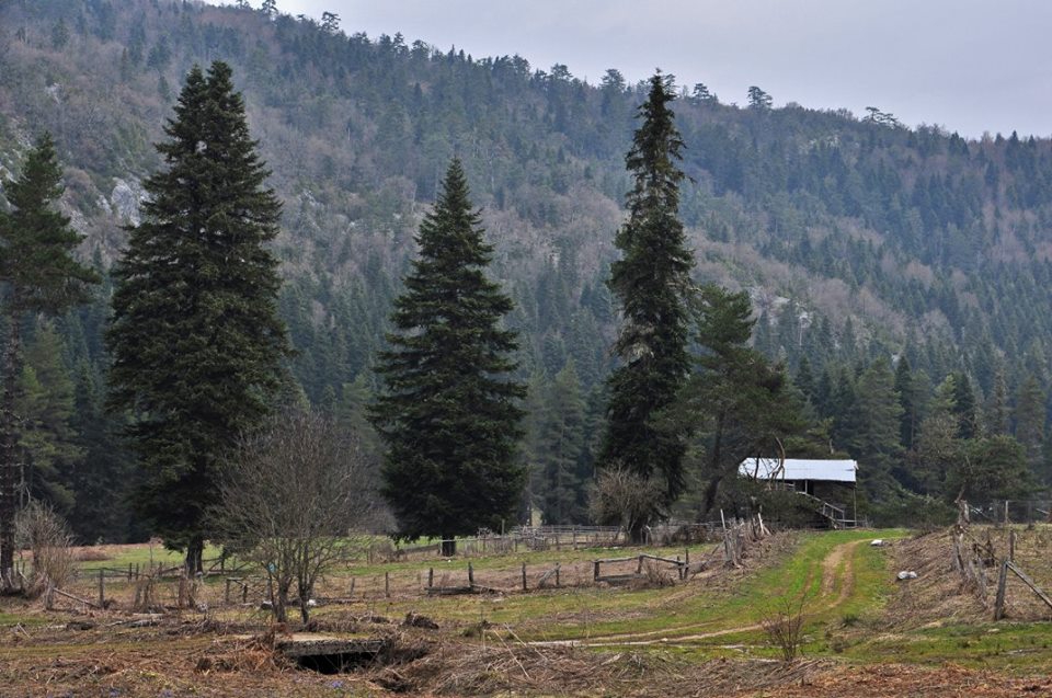 Safranbolu Cücahlı Köyü Resimleri 3