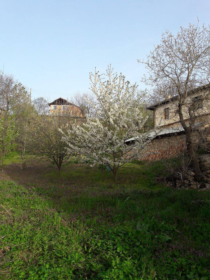 Safranbolu Çerçen Köyü Resimleri 6