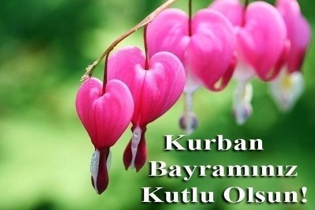 Resimli Kurban Bayramı Mesajları 32