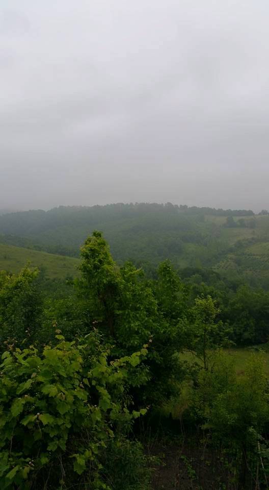 Bartın Tasmacı Köyü Resimleri 1