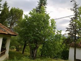 Safranbolu Davutobası Köyü Resimleri 4