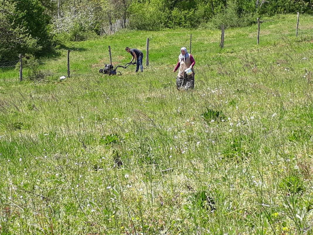 Bartın Turanlar Köyü Resimleri 6