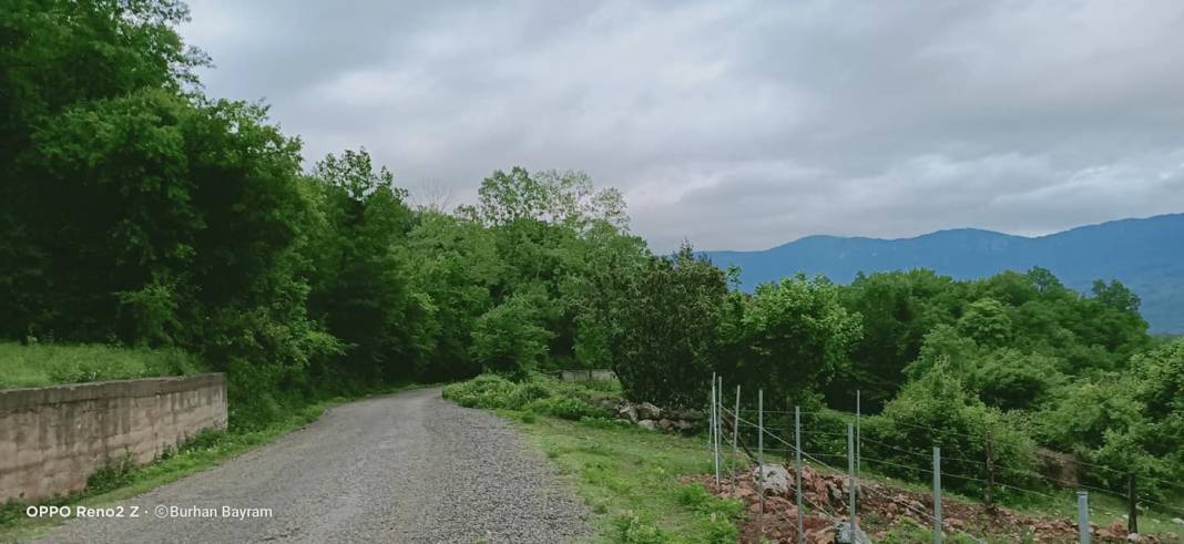 Bartın Turanlar Köyü Resimleri 7