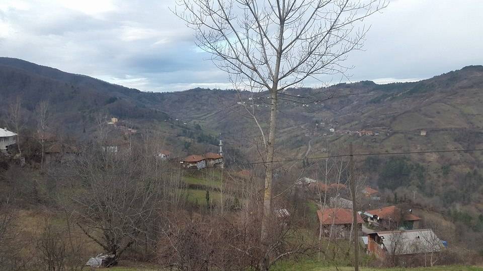 Bartın Uluköy Köyü Resimleri 2