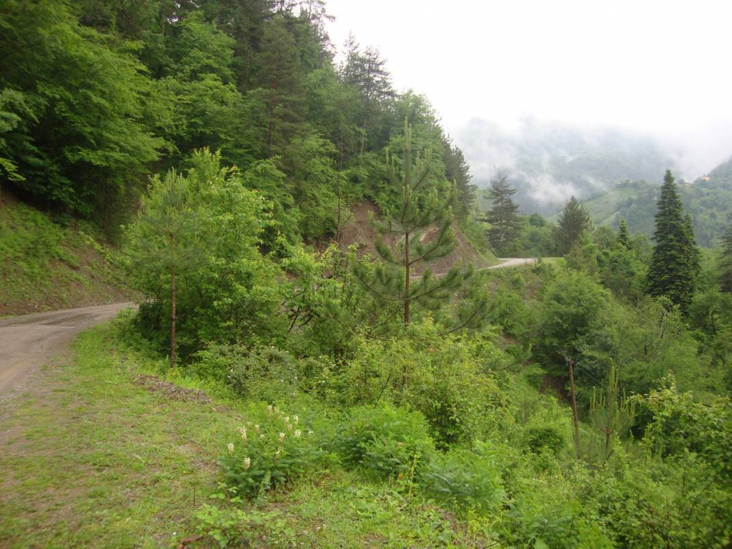 Bartın Uluköy Köyü Resimleri 4