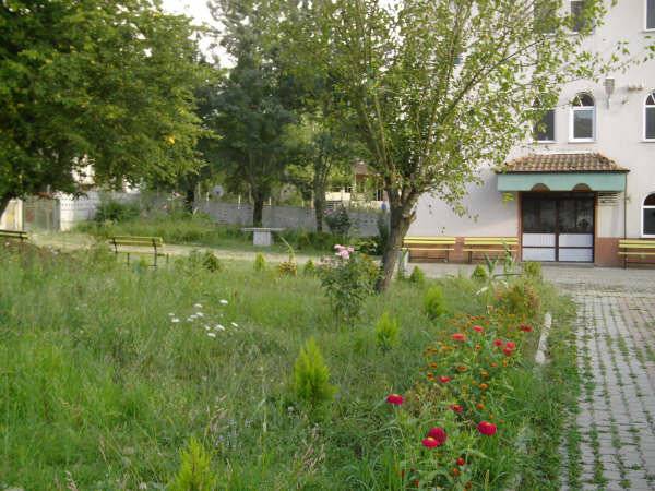 Bartın Yeğenli Köyü Resimleri 1