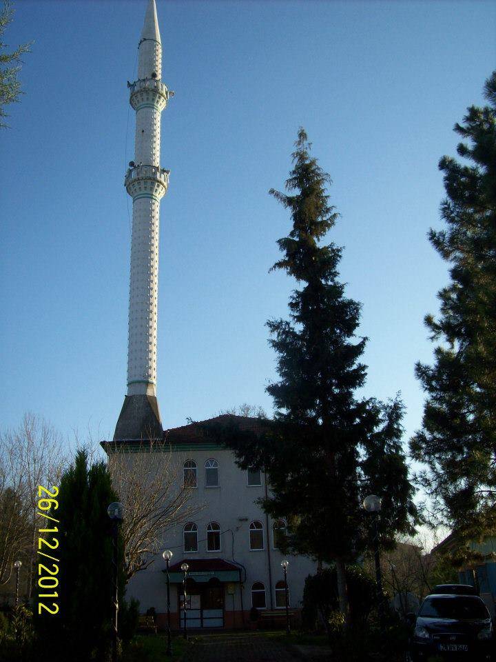 Bartın Yeğenli Köyü Resimleri 2