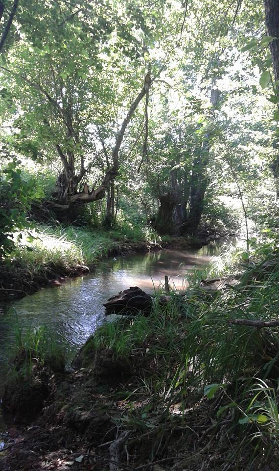 Safranbolu Değirmencik Köyü Resimleri 10