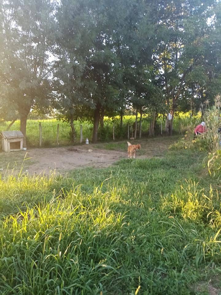 Bartın Yeşilyurt Köyü Resimleri 2