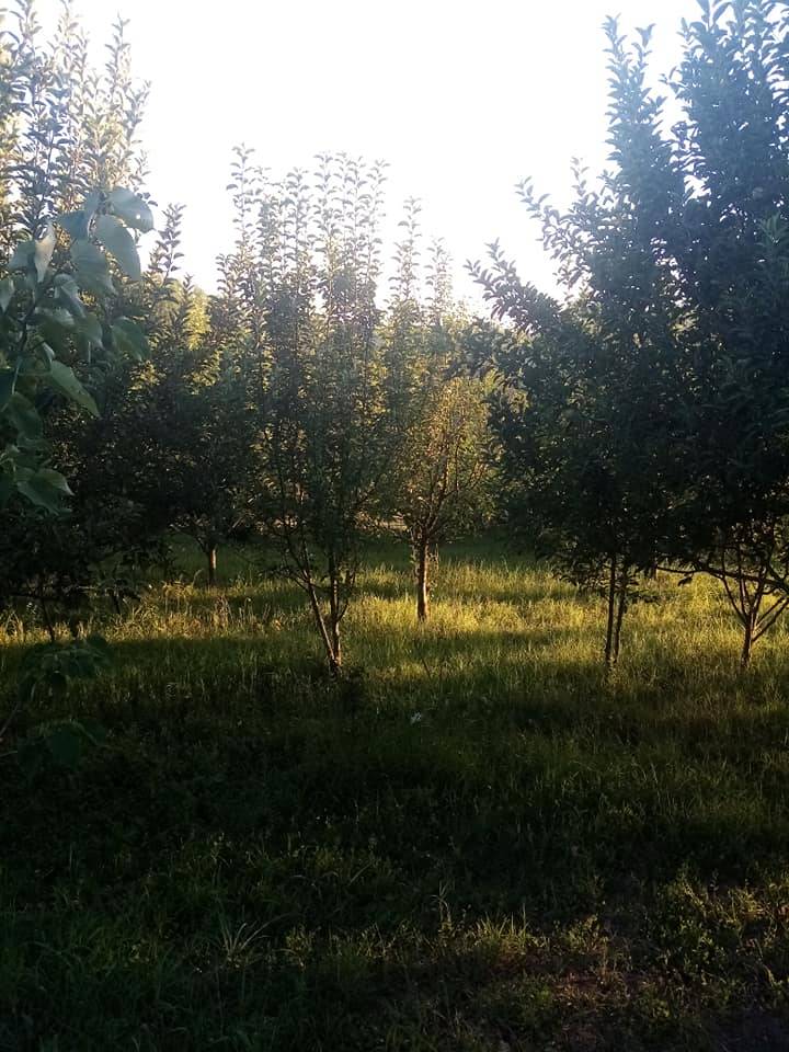 Bartın Yeşilyurt Köyü Resimleri 3