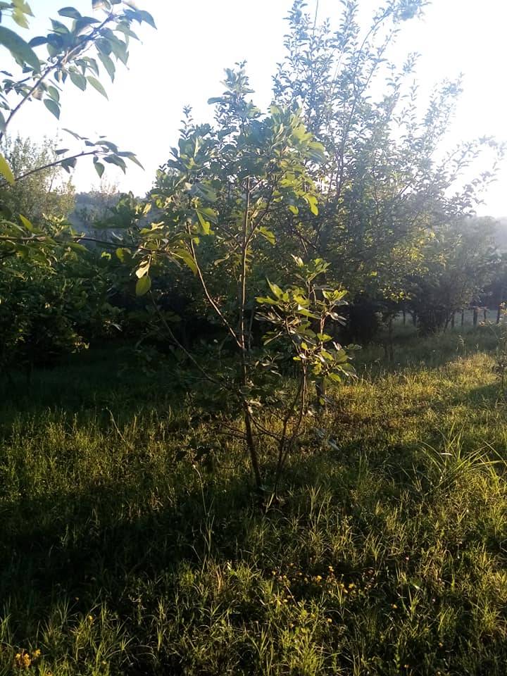 Bartın Yeşilyurt Köyü Resimleri 4