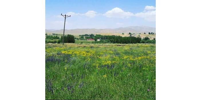Başkale Atlılar Köyü Resimleri