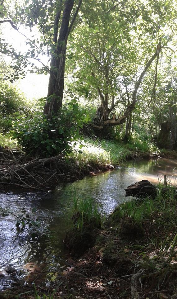 Safranbolu Değirmencik Köyü Resimleri 8