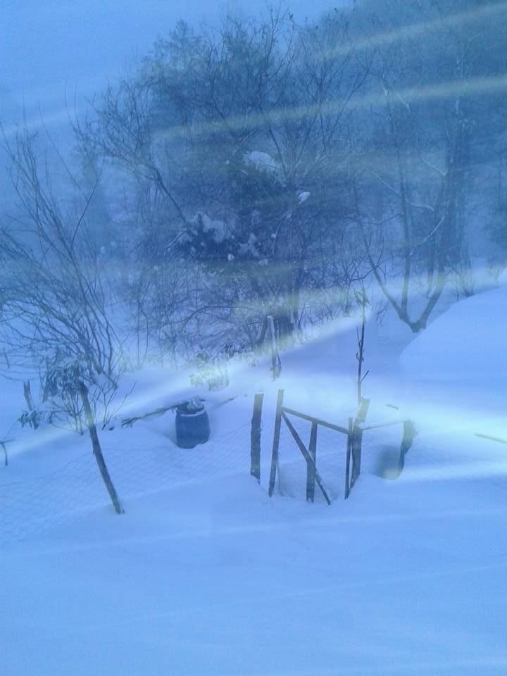 Amasra Aliobası Köyü Resimleri 1