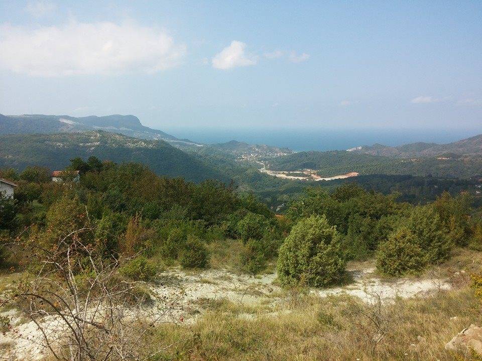 Amasra Aliobası Köyü Resimleri 5