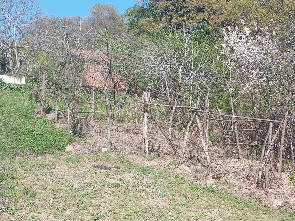 Amasra Gömü Köyü Resimleri 4