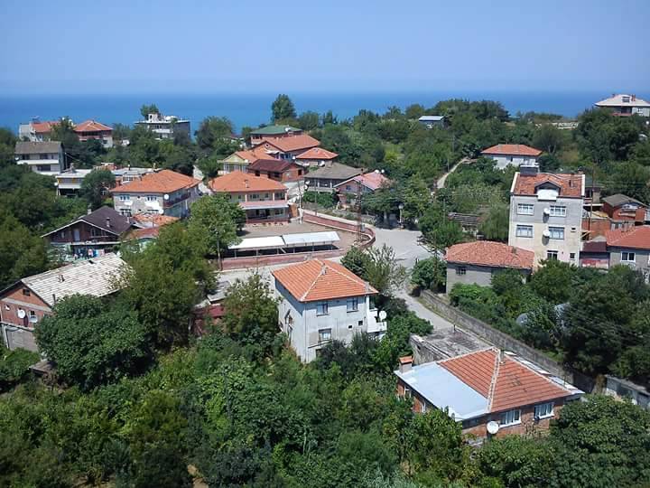 amasra gomu koyu resimleri