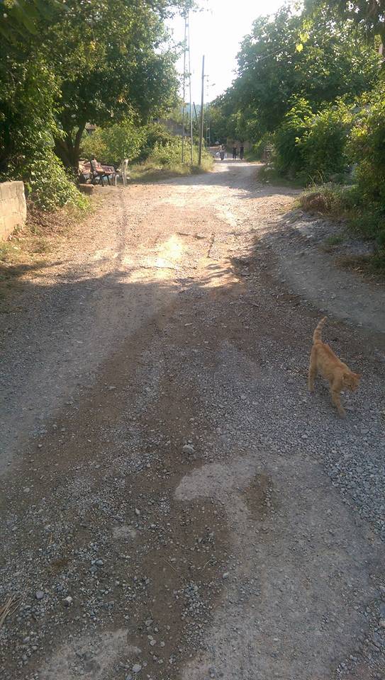Amasra Hatipler Köyü Resimleri 2