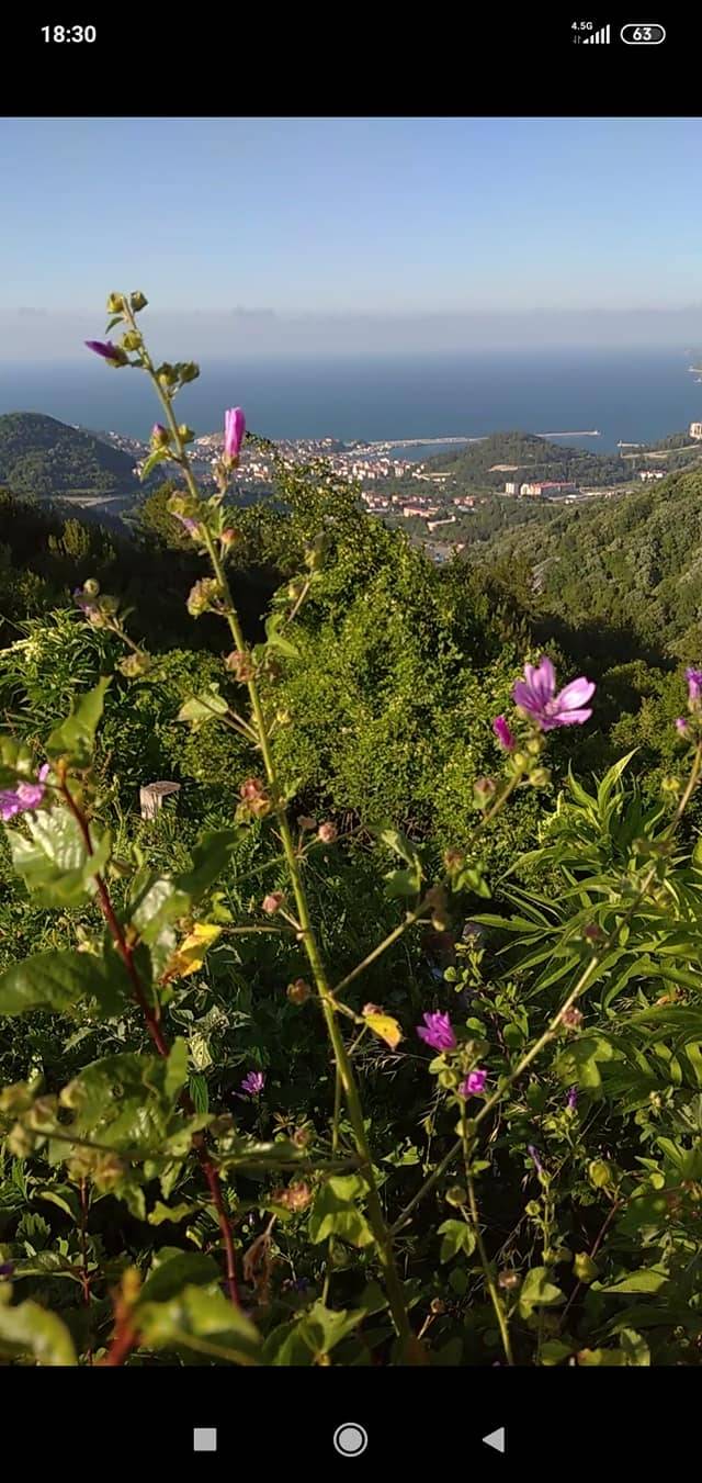 Amasra Kazpınarı Köyü Resimleri 5
