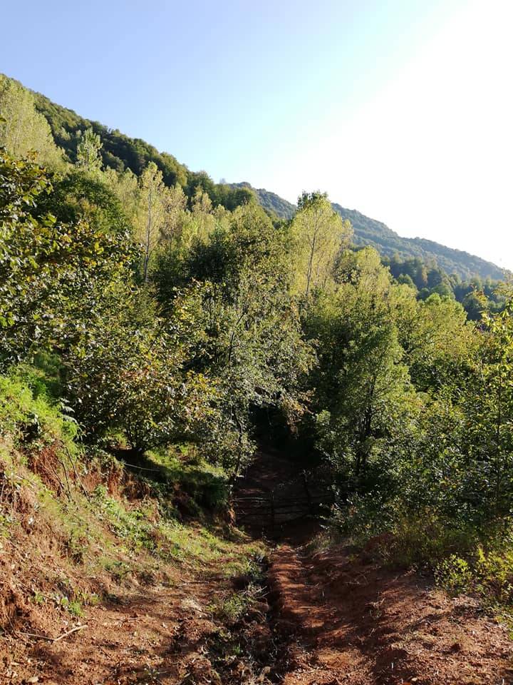 Amasra Kocaköy Köyü Resimleri 5