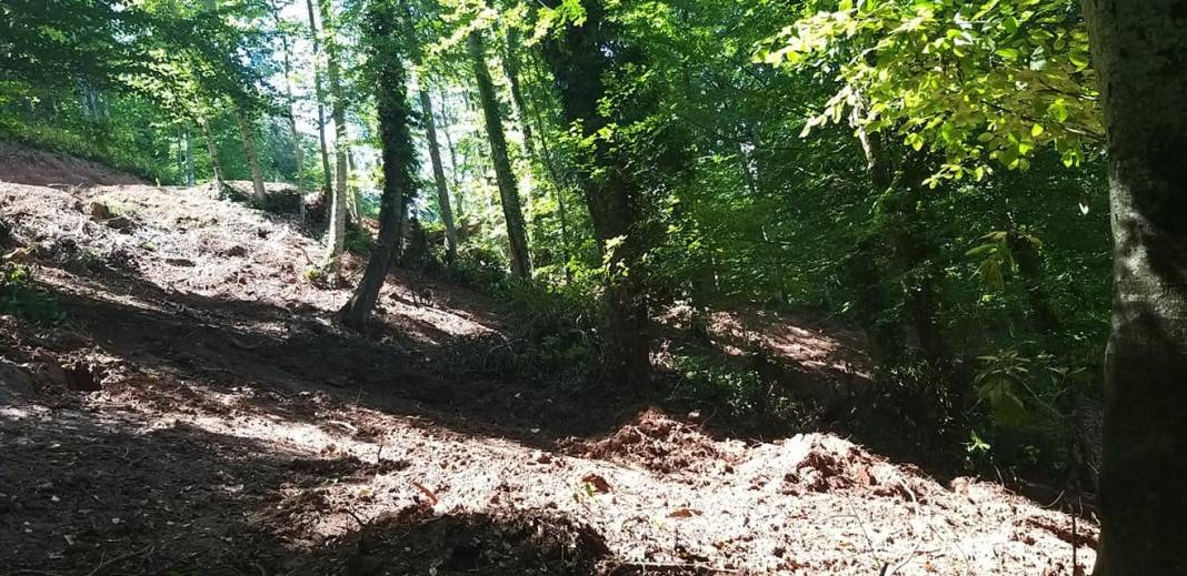 Amasra Kocaköy Köyü Resimleri 7