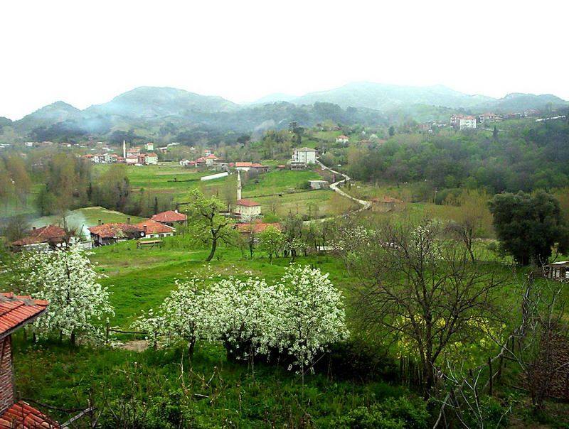 Amasra Şenyurt Köyü Resimleri 1