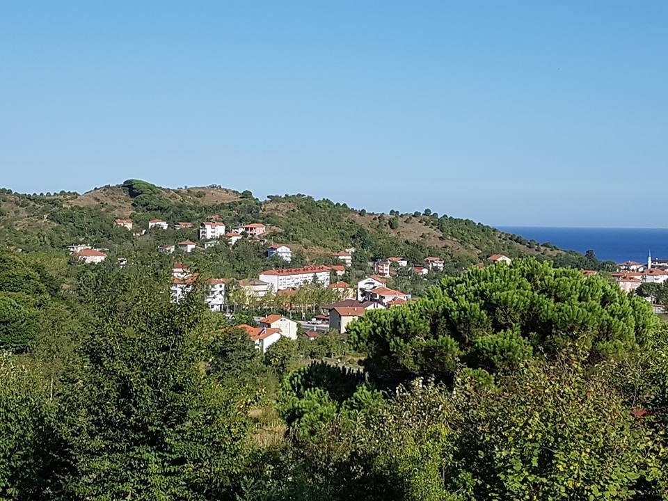 Amasra Şenyurt Köyü Resimleri 7