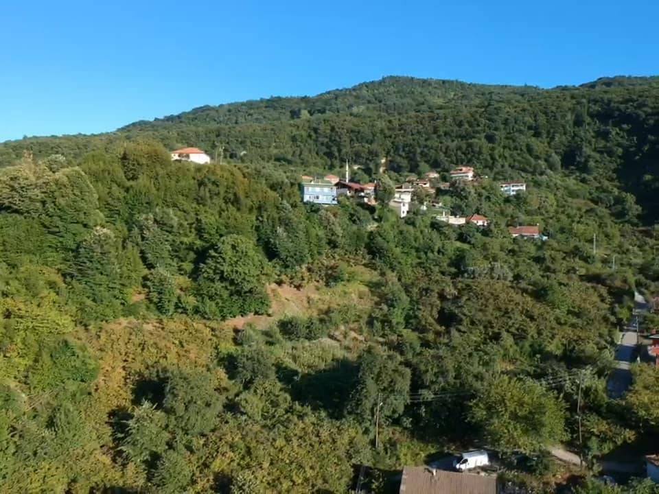 Amasra Tarlaağzı Köyü Resimleri 3