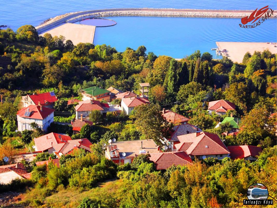 Amasra Tarlaağzı Köyü Resimleri 5