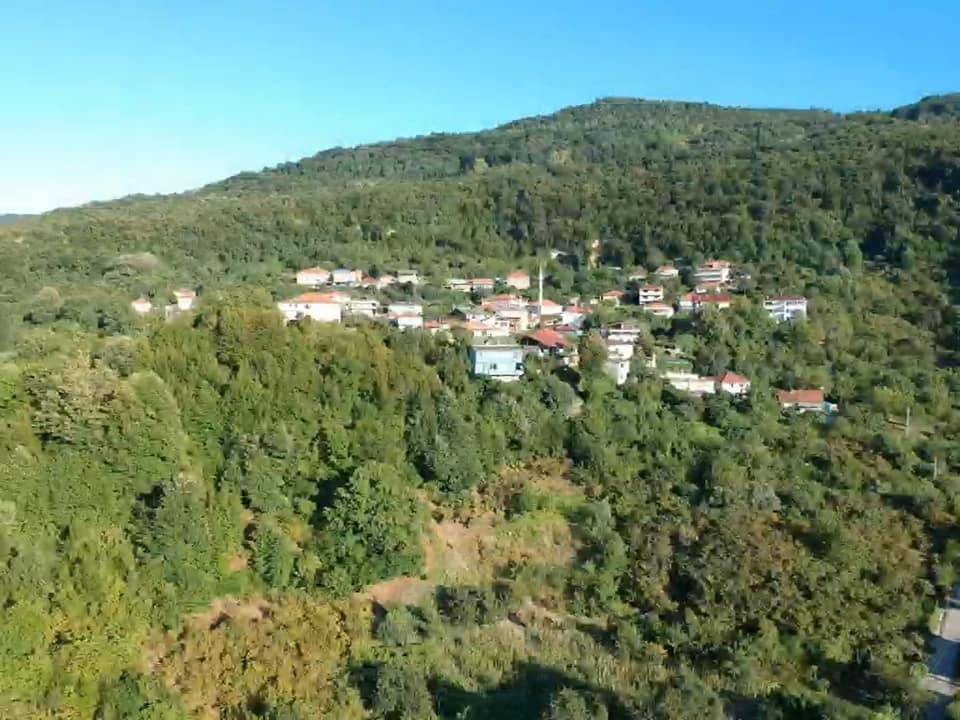 Amasra Tarlaağzı Köyü Resimleri 7