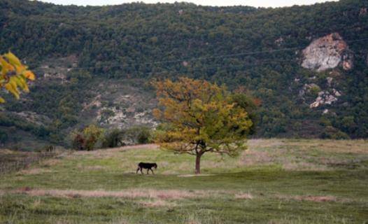 Amasra Topallar Köyü Resimleri 1