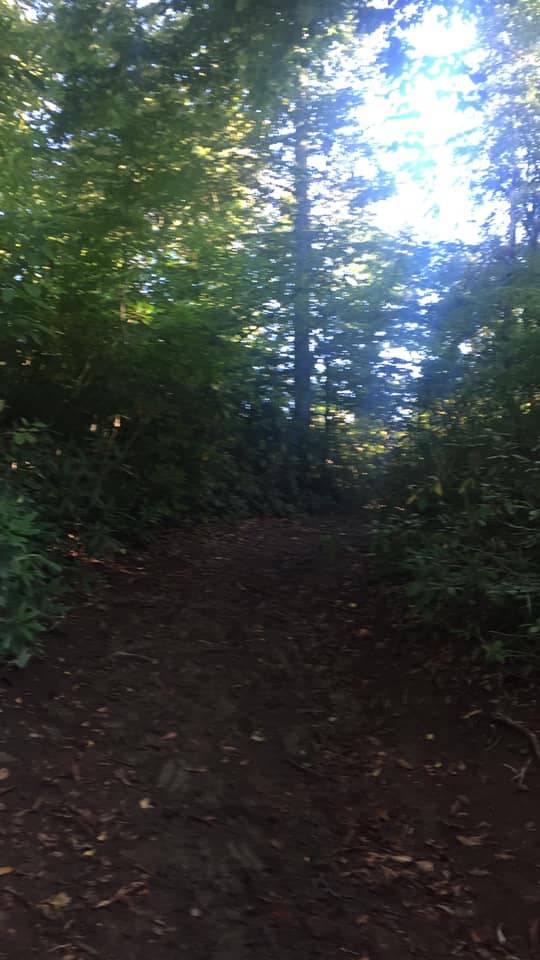 Amasra Topderesi Köyü Resimleri 2