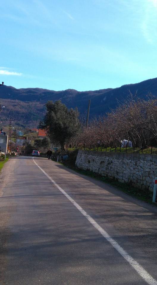 Kurucaşile Curunlu Köyü Resimleri 1