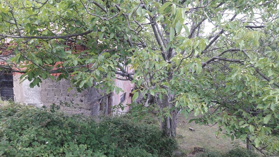 Kurucaşile Curunlu Köyü Resimleri 3