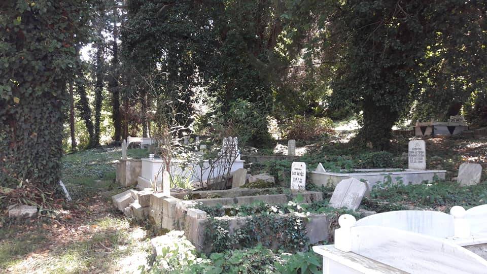 Kurucaşile Curunlu Köyü Resimleri 7