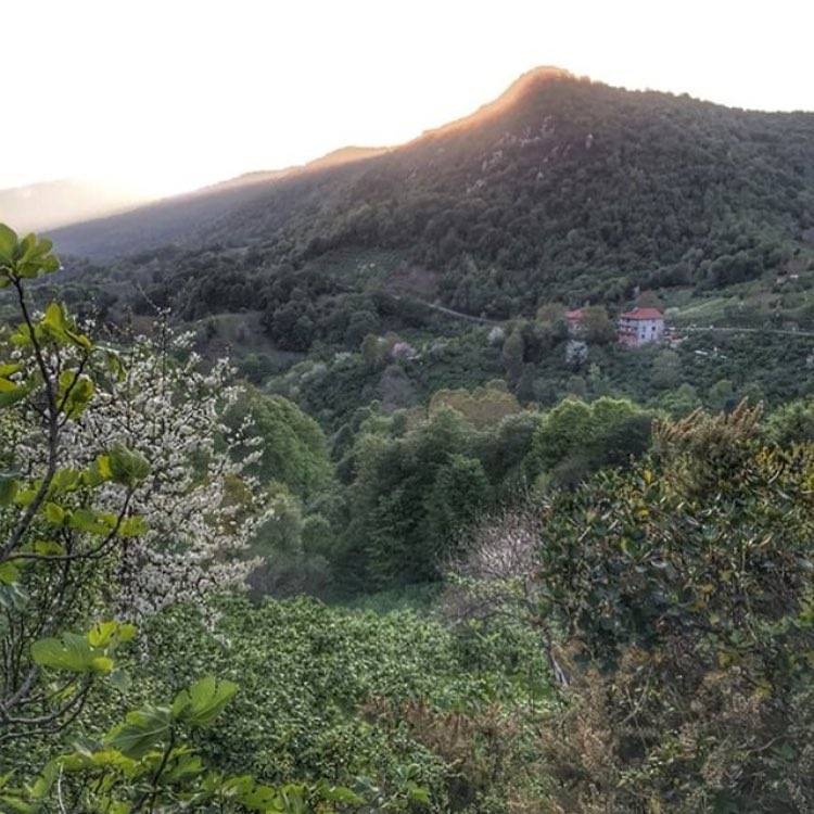 Kurucaşile Paşalılar Köyü Resimleri 2