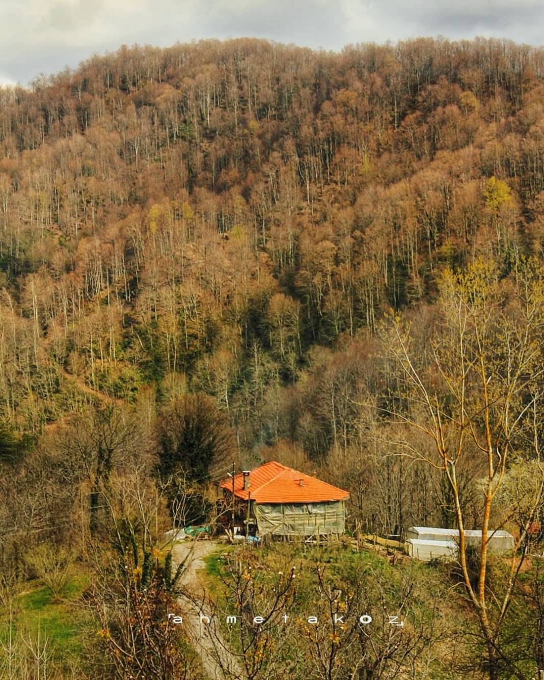 Kurucaşile Paşalılar Köyü Resimleri 3