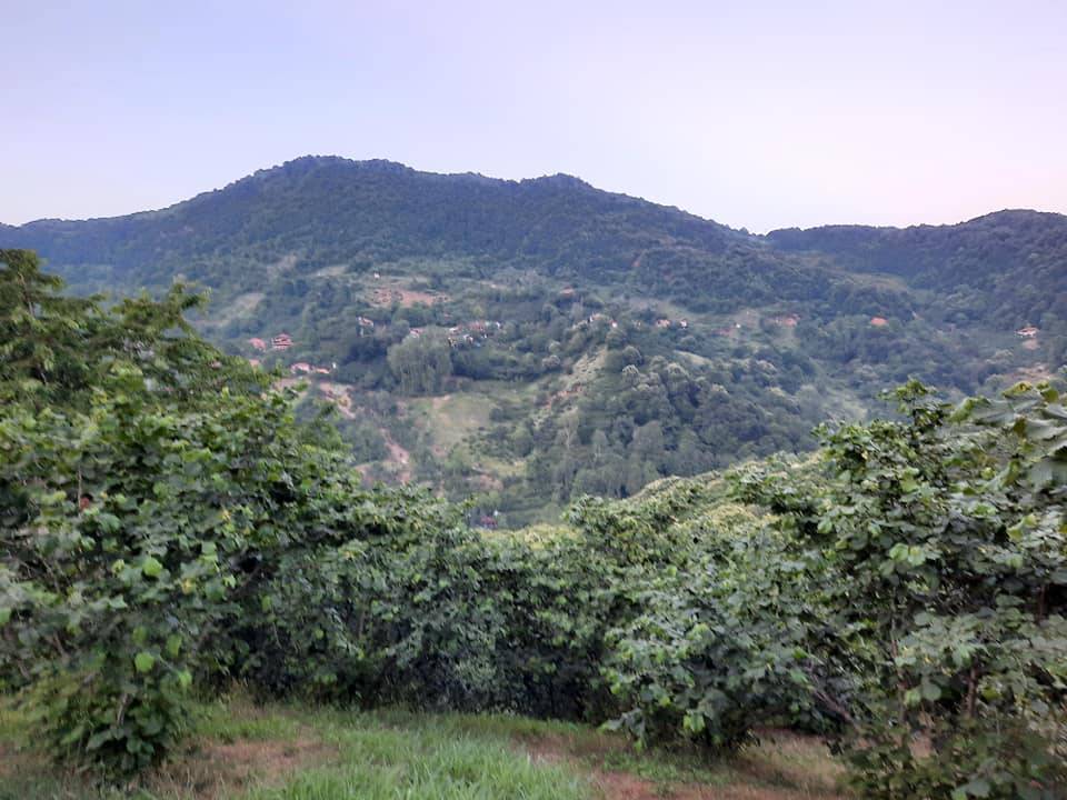 Kurucaşile Paşalılar Köyü Resimleri 6