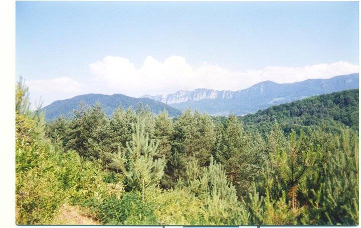 Kurucaşile Yeniköy Köyü Resimleri 1