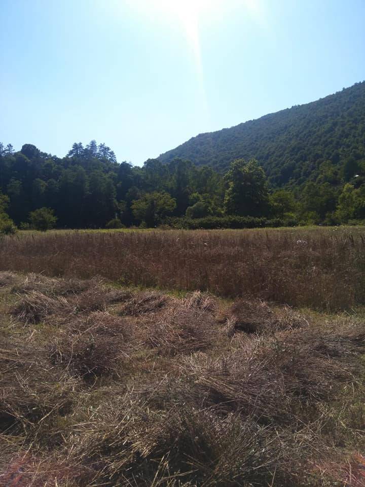 Kurucaşile Yeniköy Köyü Resimleri 2