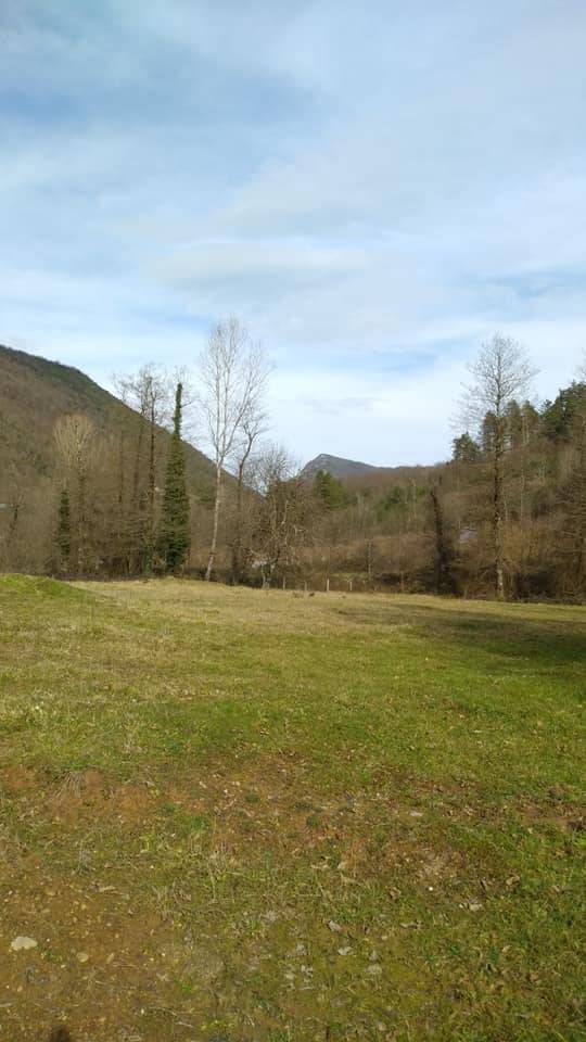 Kurucaşile Yeniköy Köyü Resimleri 3