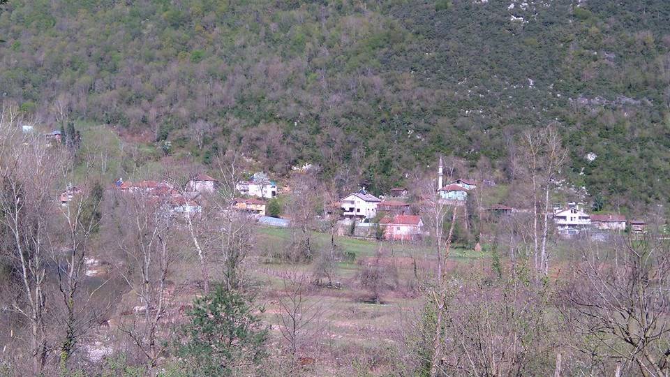 Kurucaşile Yeniköy Köyü Resimleri 4