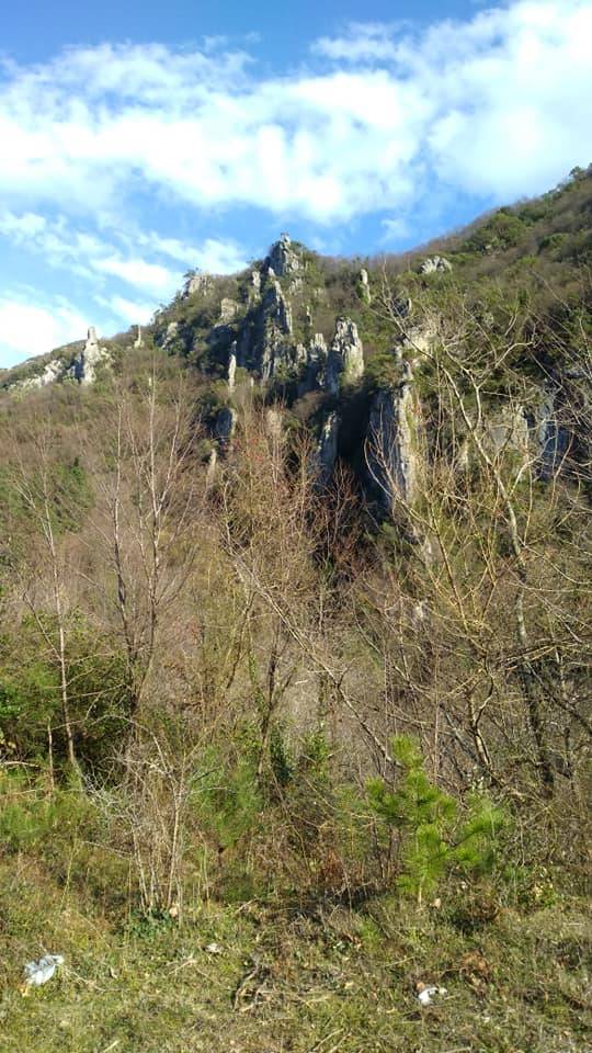 Kurucaşile Yeniköy Köyü Resimleri 5