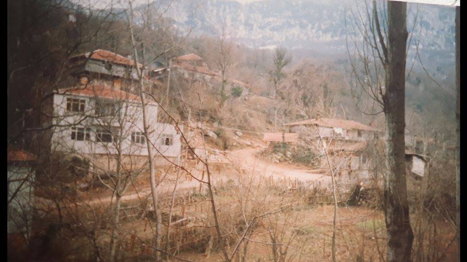 Kurucaşile Ziyaretköy Köyü Resimleri 1