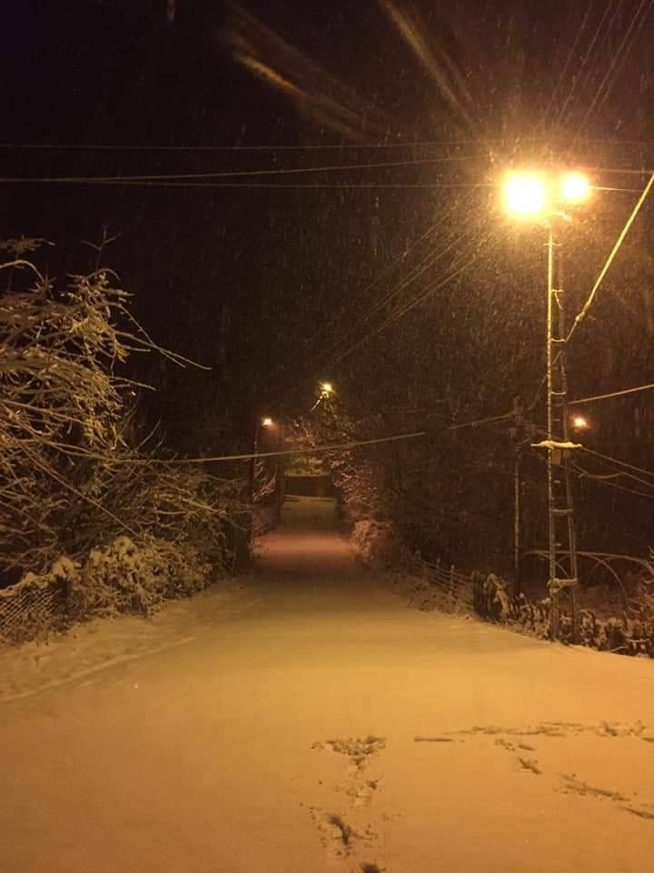 Kurucaşile Ziyaretköy Köyü Resimleri 2