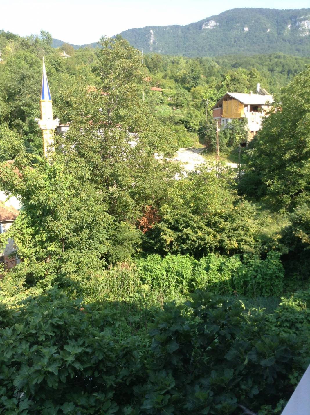 Kurucaşile Ziyaretköy Köyü Resimleri 3