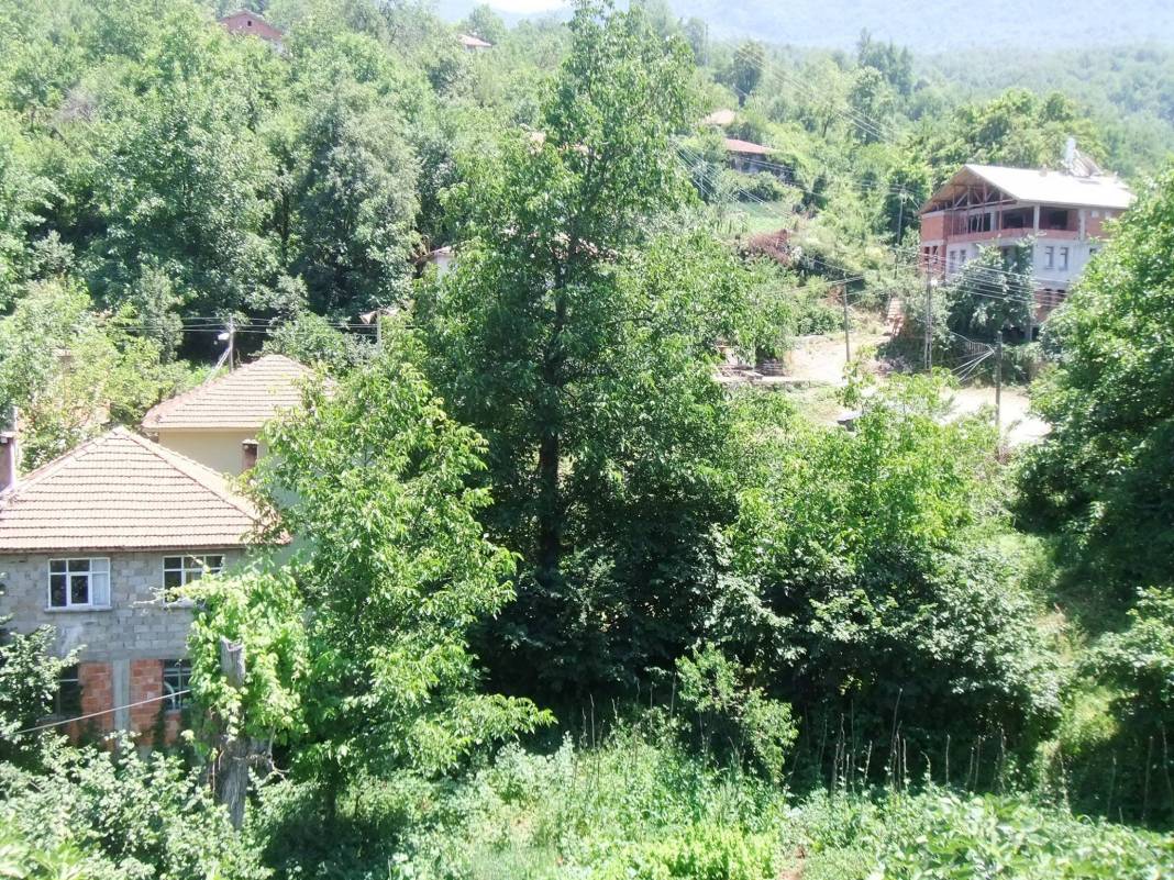 Kurucaşile Ziyaretköy Köyü Resimleri 4