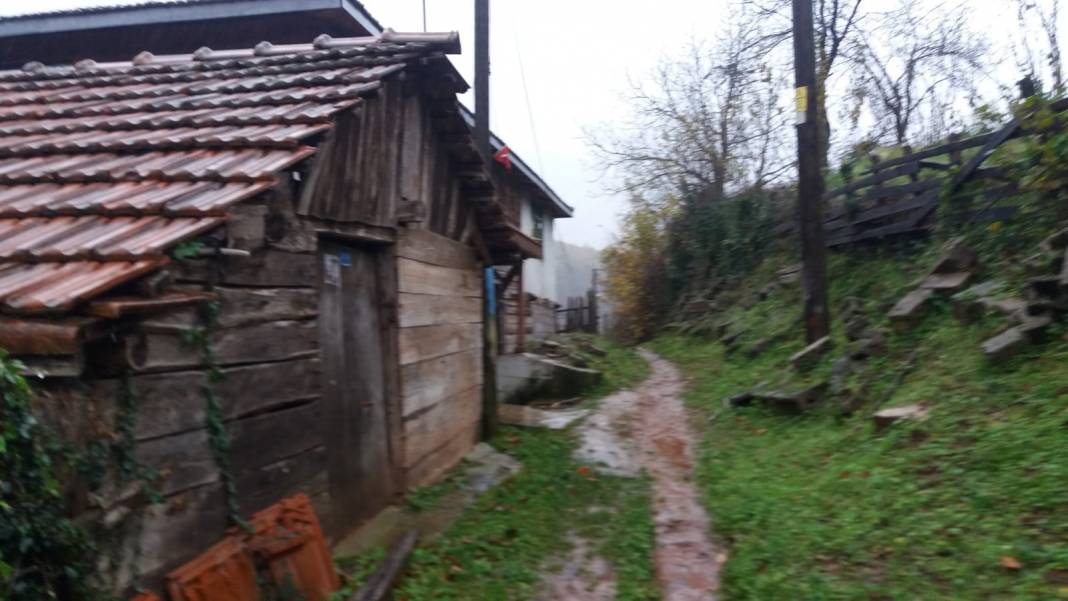 Kurucaşile Ziyaretköy Köyü Resimleri 5